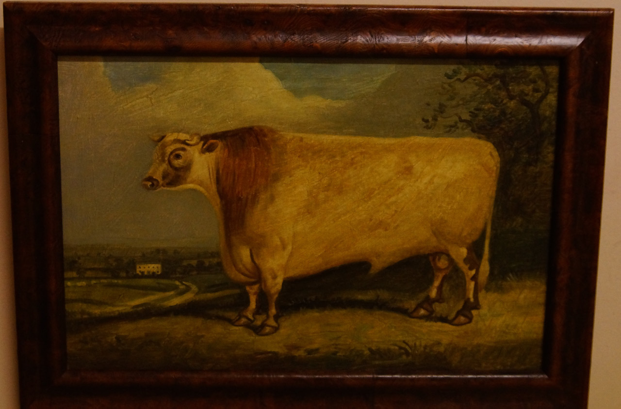 Appraisal: thC British School Study of a shorthorn bull in a