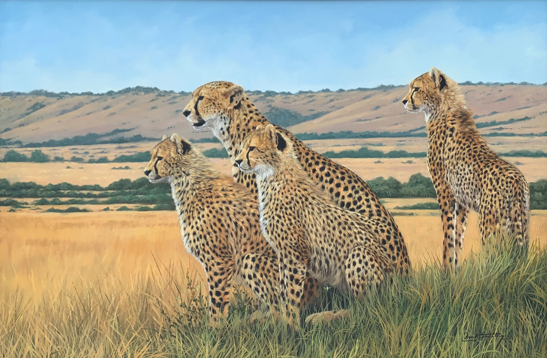 Appraisal: STRIBBLING David British th C Family of Cheetahs on the