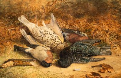 Appraisal: B L Hold Still Life of Birds Amongst Bracken signed