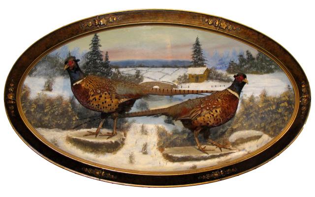 Appraisal: Pair of Antique Taxidermy Pheasants in Ornate Shadow Box type