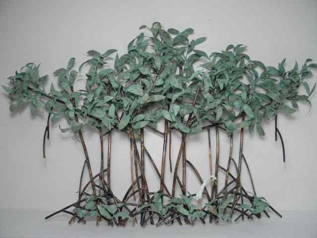 Appraisal: Patinated copper wall art display of mangroves by artist Jim