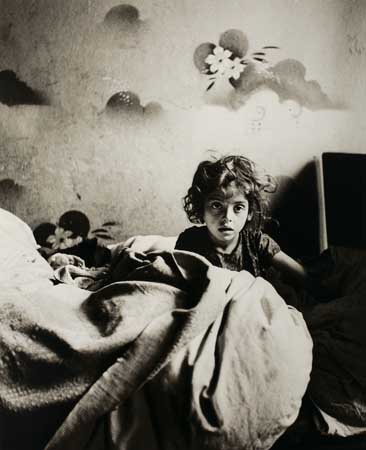 Appraisal: VISHNIAC ROMAN - Warsaw The Only Flowers of Her Youth