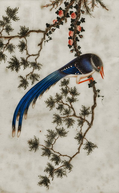 Appraisal: CHINESE SCHOOLa study of a bluebird on a branch and