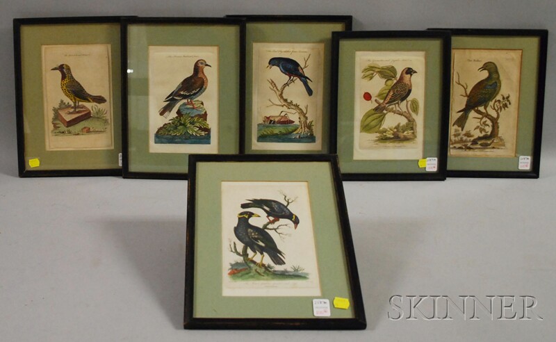 Appraisal: Six Framed Hand-colored Bird Prints England late th century four