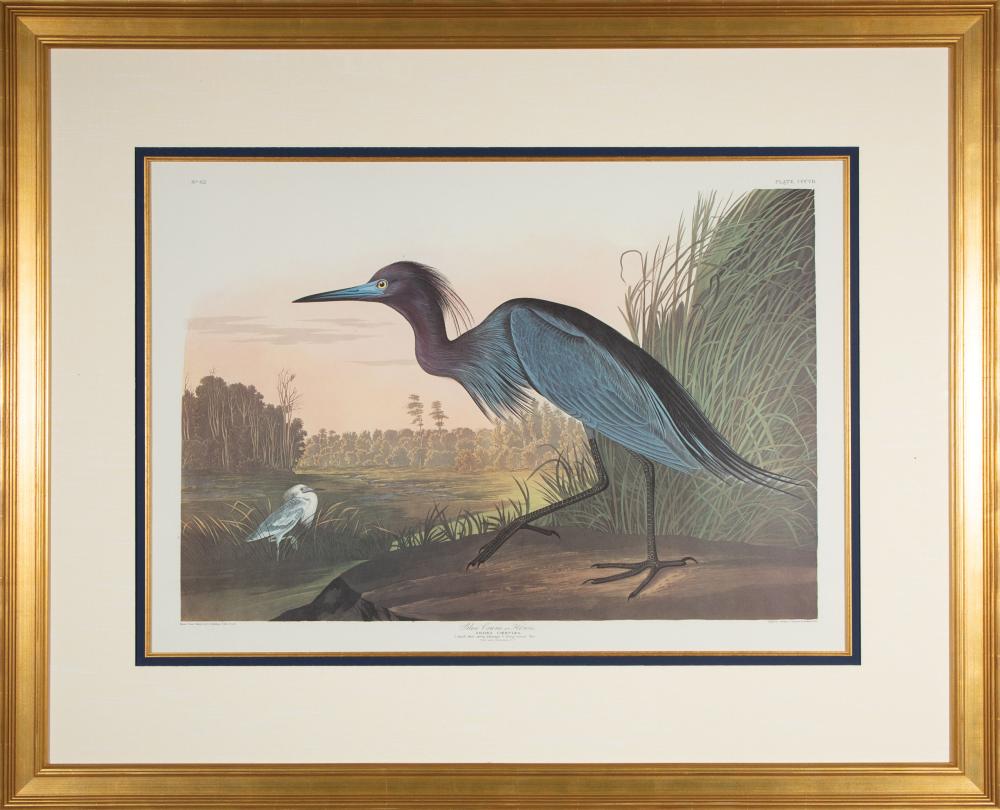 Appraisal: John James Audubon American - Blue Crane or Heron -