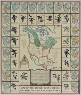 Appraisal: Richard E Bishop Two Maps Map of the Surface Feeding