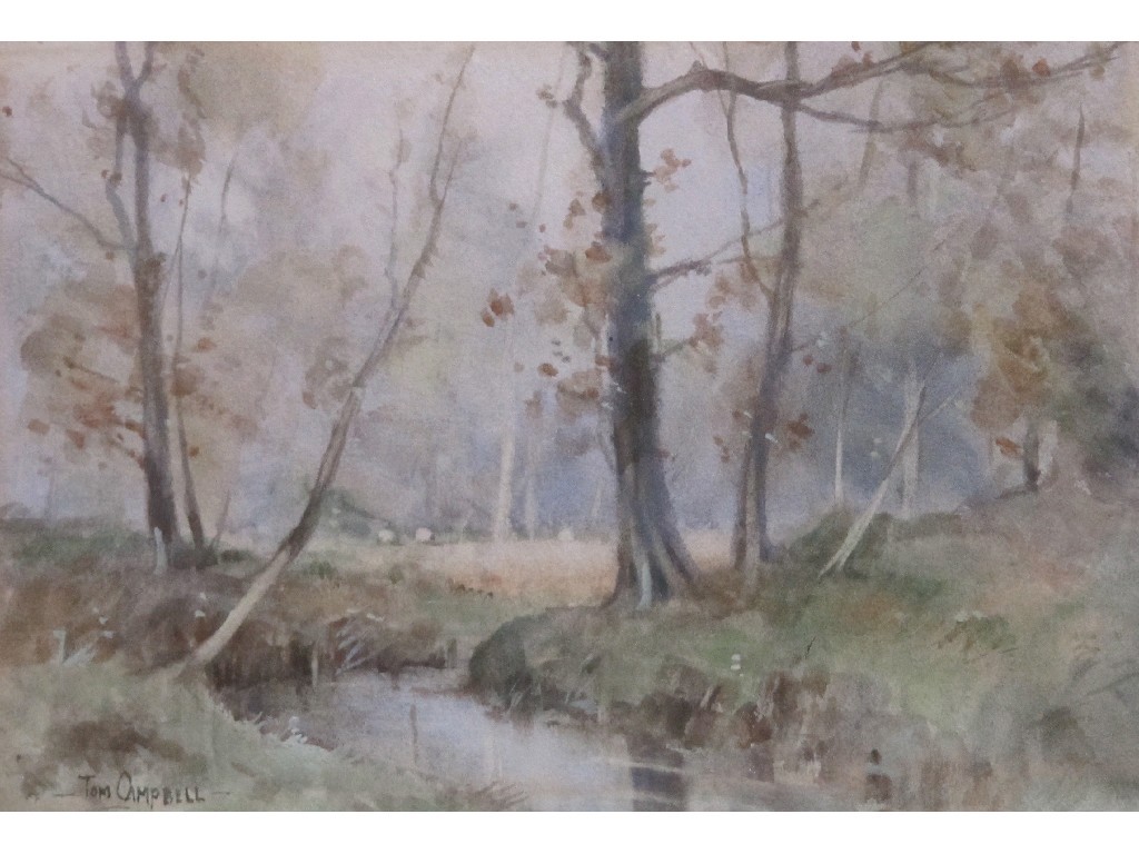 Appraisal: TOM CAMPBELL - Watercolour woodland scene signed x