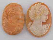 Appraisal: An unmounted carved coral cameo approx x cm together with