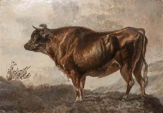 Appraisal: Artist Unknown th century Cow at Pasture oil on paper