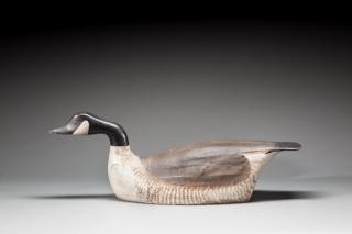 Appraisal: Swimming Canada Goose by George Boyd THE ART OF THE