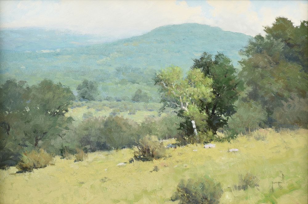 Appraisal: ROBERT PUMMILL American Texas b A PAINTING Hill Country Vista