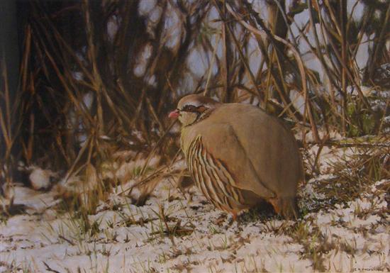 Appraisal: Ian Robert Pickvance 'red legged partridge' signed oil on canvas