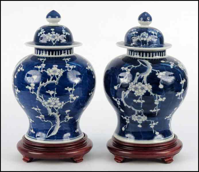 Appraisal: PAIR CHINESE BLUE AND WHITE PORCELAIN LIDED GINGER JARS On