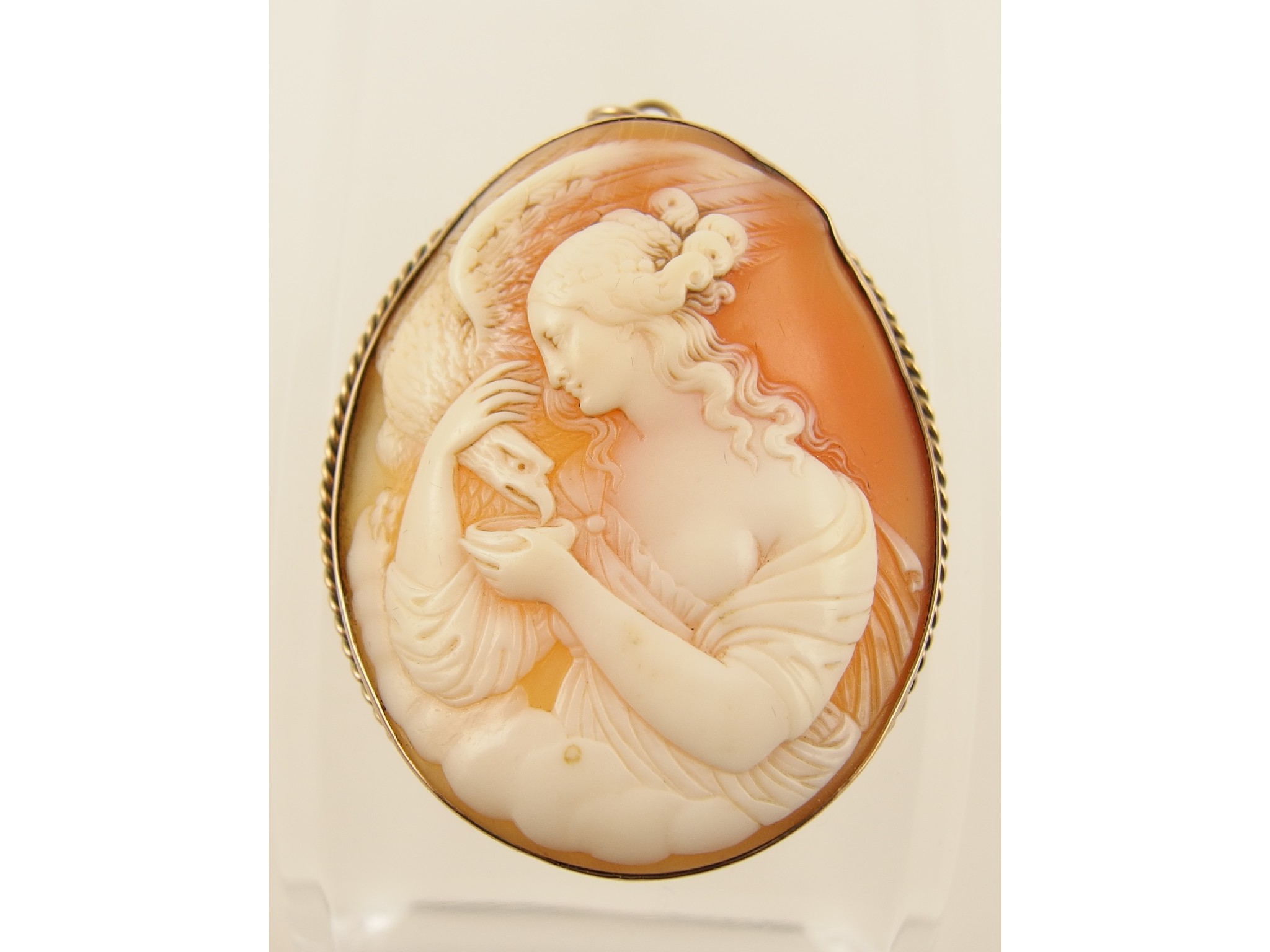 Appraisal: A ct framed shell cameo pendant