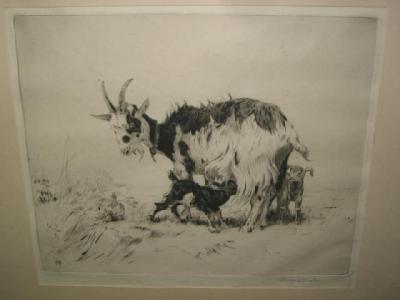 Appraisal: WINIFRED AUSTIN - Goat and Kids etching monogrammed in the