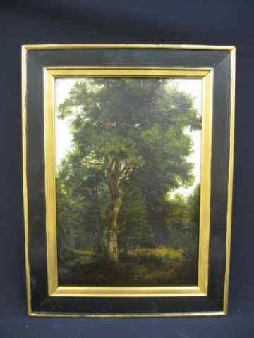 Appraisal: Oil Painting landscape with trees th century label of Plaza