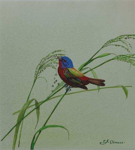 Appraisal: Edward Von Siebold Dingle South Carolina - PAINTED BUNTING watercolor