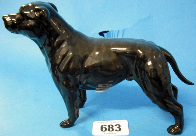 Appraisal: Rare Beswick Black Staffordshire Bull Terrier small underglaze chip to