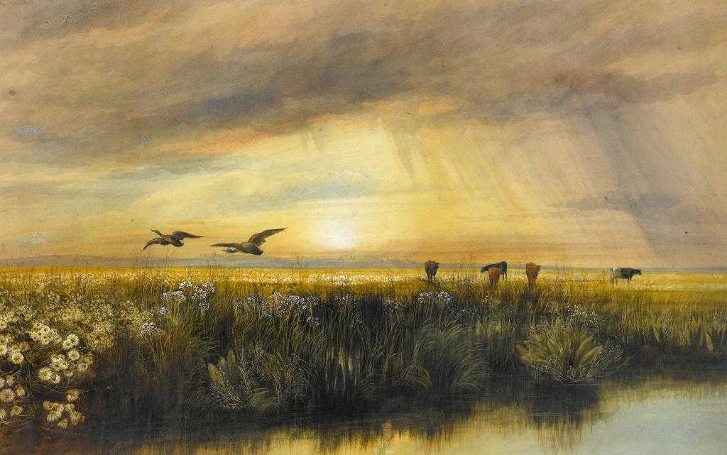 Appraisal: ANDREW NICHOLL RHA - A WATER MEADOW AT SUNSET signed