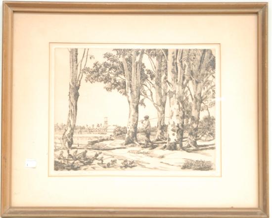 Appraisal: LOCKE W R ETCHING Titled Glorius Eucalyptus signed lower right