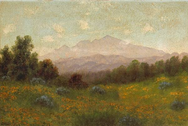 Appraisal: Charles Dormon Robinson - Poppies with Mt Tamalpais in the