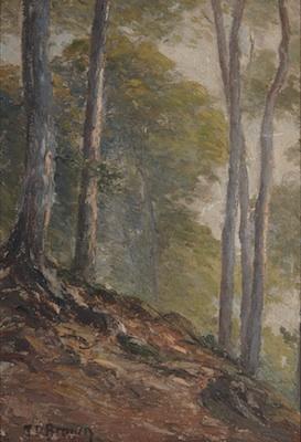 Appraisal: T D Brown American th Century Forest landscape Oil on