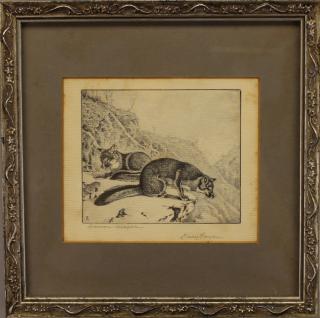 Appraisal: Benson Bond Moore - Gray Foxes etching Signed in lower