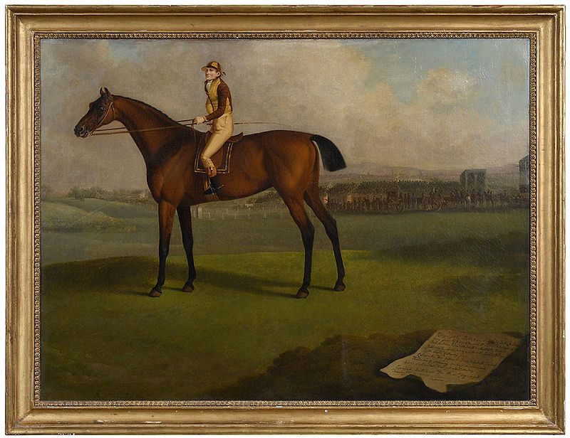 Appraisal: Charles Towne British The Bay Racehorse Citizen at the Manchester