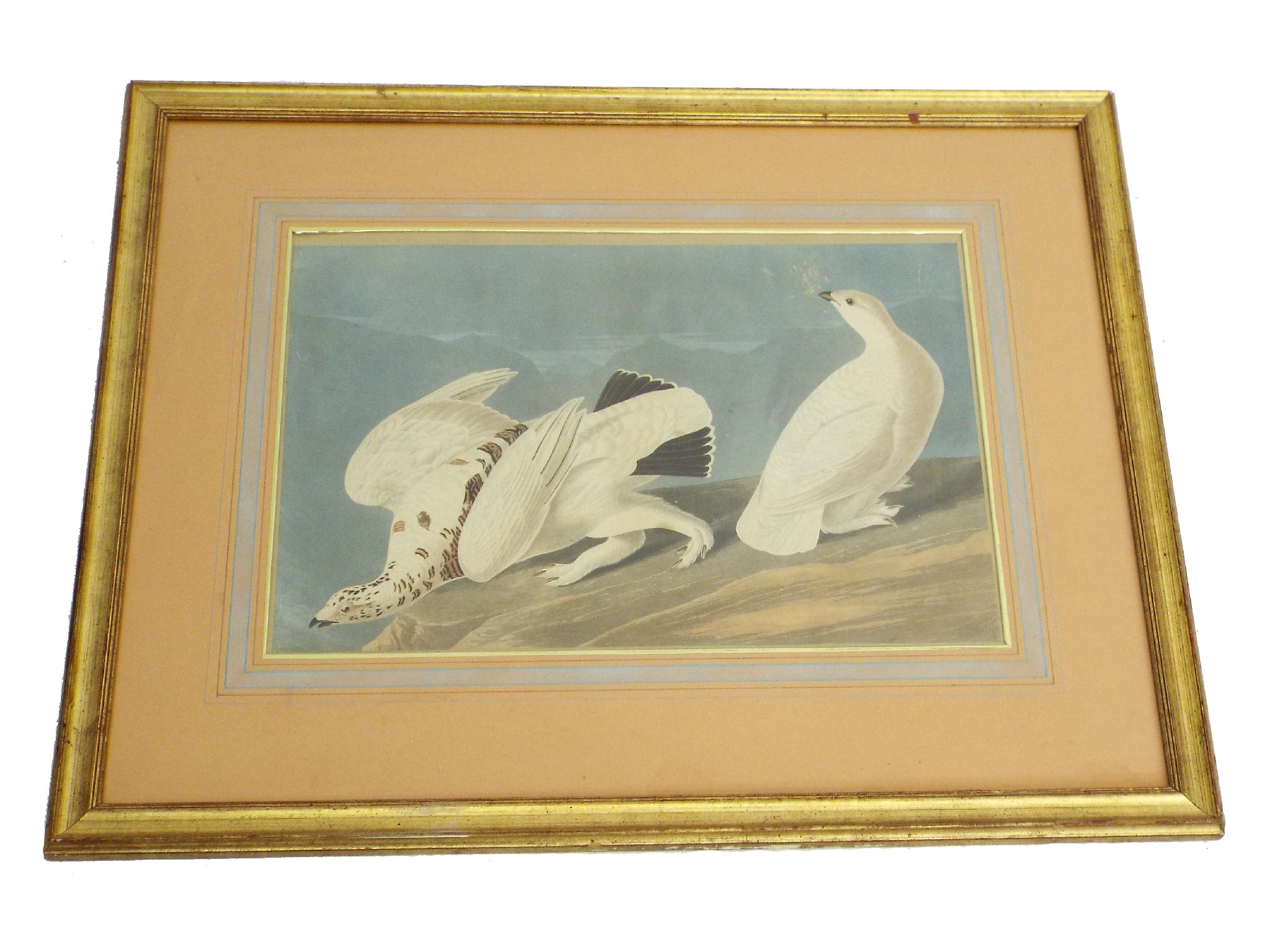 Appraisal: After J J Audubon - 'American Ptarmigan' inscribed on a