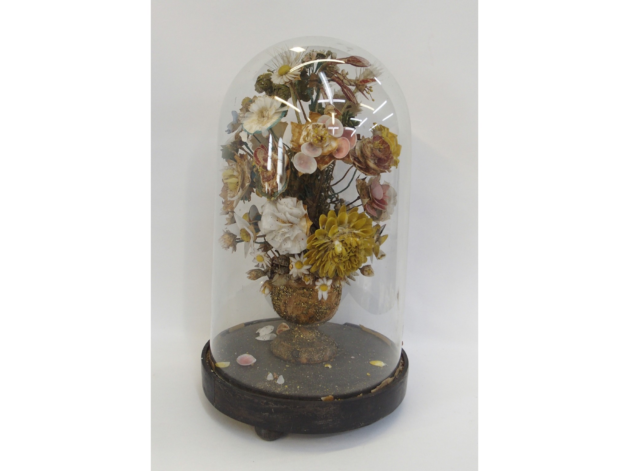 Appraisal: Victorian shell flower display under glass dome