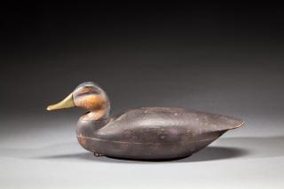 Appraisal: Black Duck by Henry Grant Black DuckHenry Grant - Barnegat