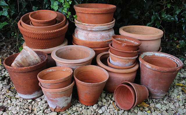 Appraisal: A COLLECTION OF VARIOUS TERRACOTTA FLOWER POTS