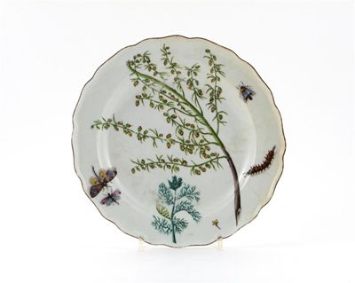 Appraisal: A Chelsea botanical plate painted with a large spray of