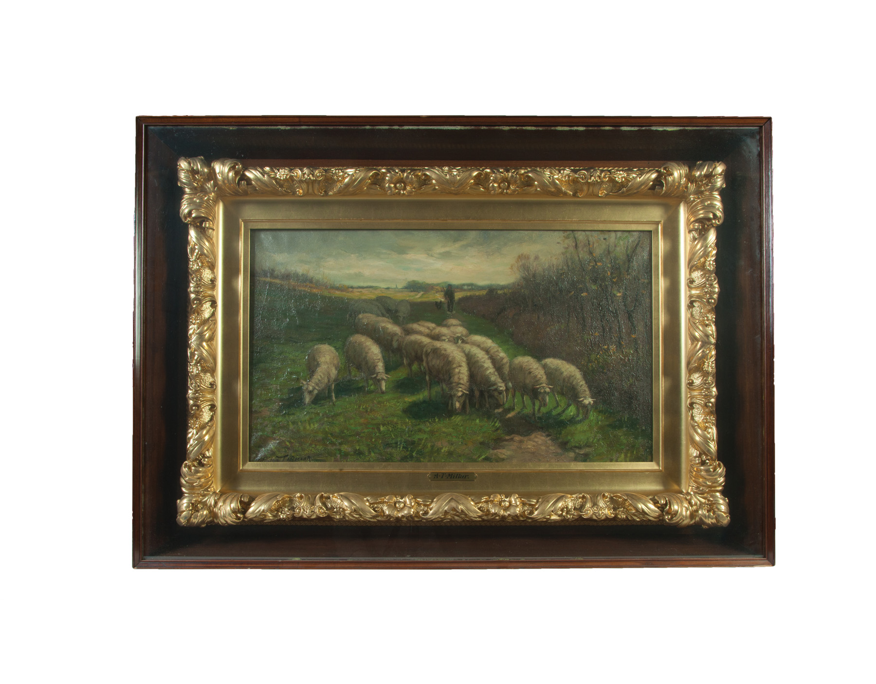 Appraisal: SHEEP BY ADDISON MILLAR OHIO - Oil on canvas signed