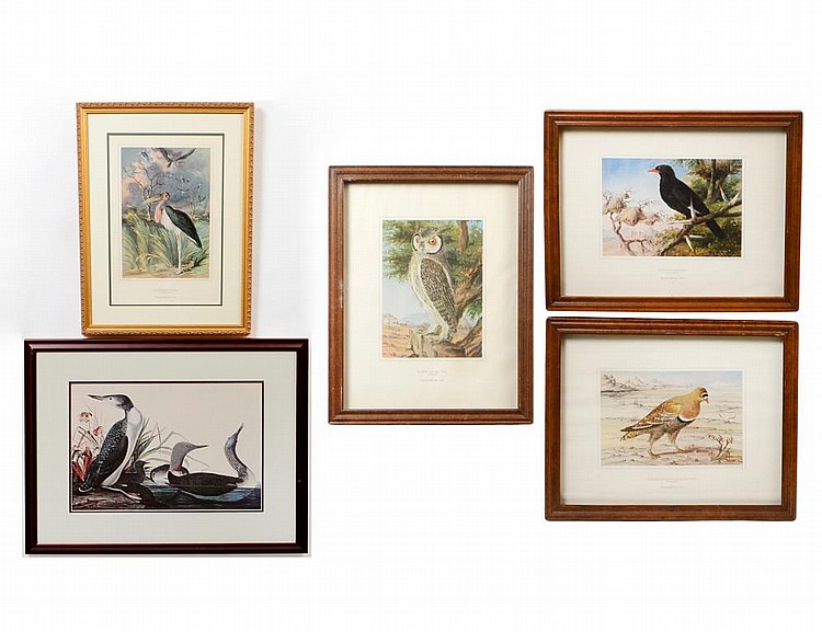 Appraisal: FOUR OFFSET IMAGES OF BIRDS ANOTHER OF DUCKSThe set of