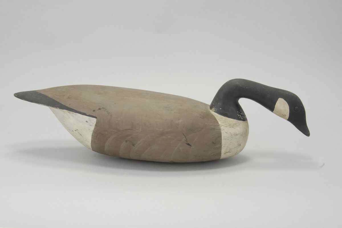 Appraisal: HOLLOW-CARVED CANADA GOOSEFrom New Jersey Maker unknown In swimming position