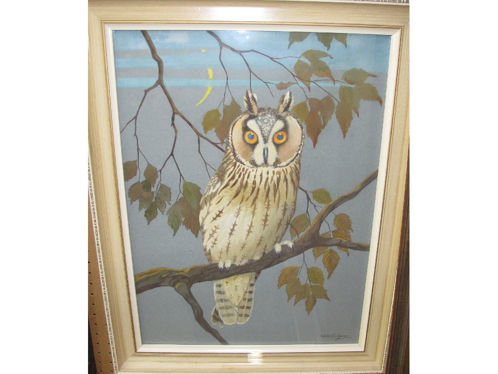 Appraisal: RALSTON GUDGEON RSW Owl signed watercolour