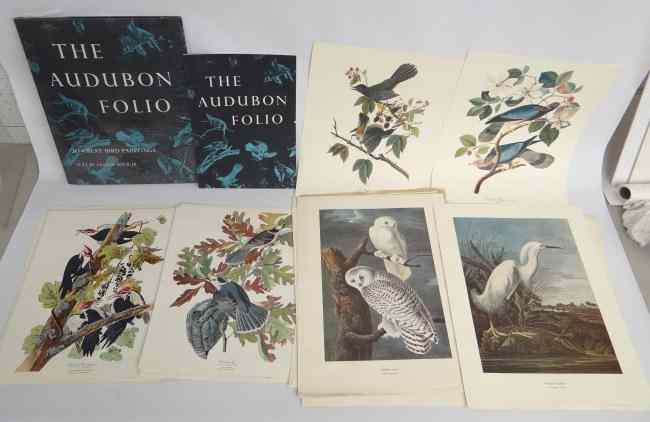 Appraisal: Harry N Abrams Audubon portfolio with various prints