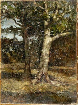 Appraisal: th C School Two Trees Oil on canvas unsigned unframed