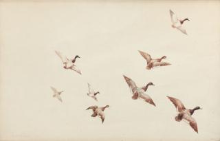 Appraisal: Roland H Clark Two WatercolorsCanvasbacks Ducks in Flight each signed