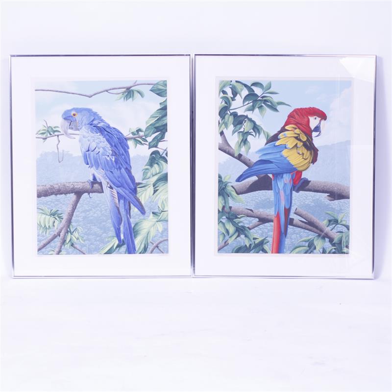 Appraisal: Pair large Macaw exotic bird limited edition color lithograph prints