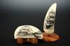 Appraisal: SCRIMSHAW LOT - Pair of polished sperm whale's teeth each