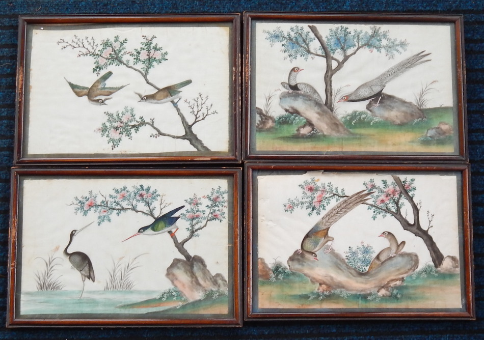 Appraisal: thC Chinese School Four studies of exotic birds watercolours cm