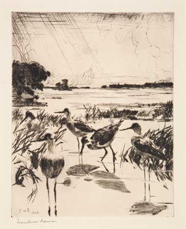 Appraisal: FRANK W BENSON Yellowlegs in Sunlight Drypoint x mm x