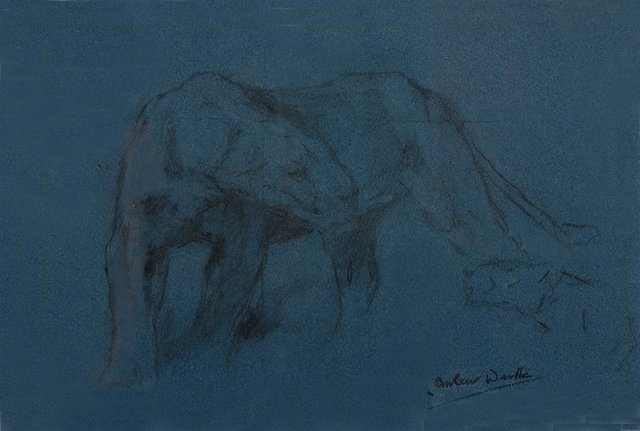 Appraisal: ARTHUR WARDLE - Study of a lioness signed pencil on