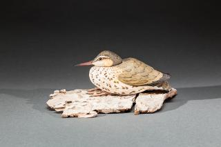 Appraisal: Sandpiper on Driftwood Delbert Del Smith b Otis OR A