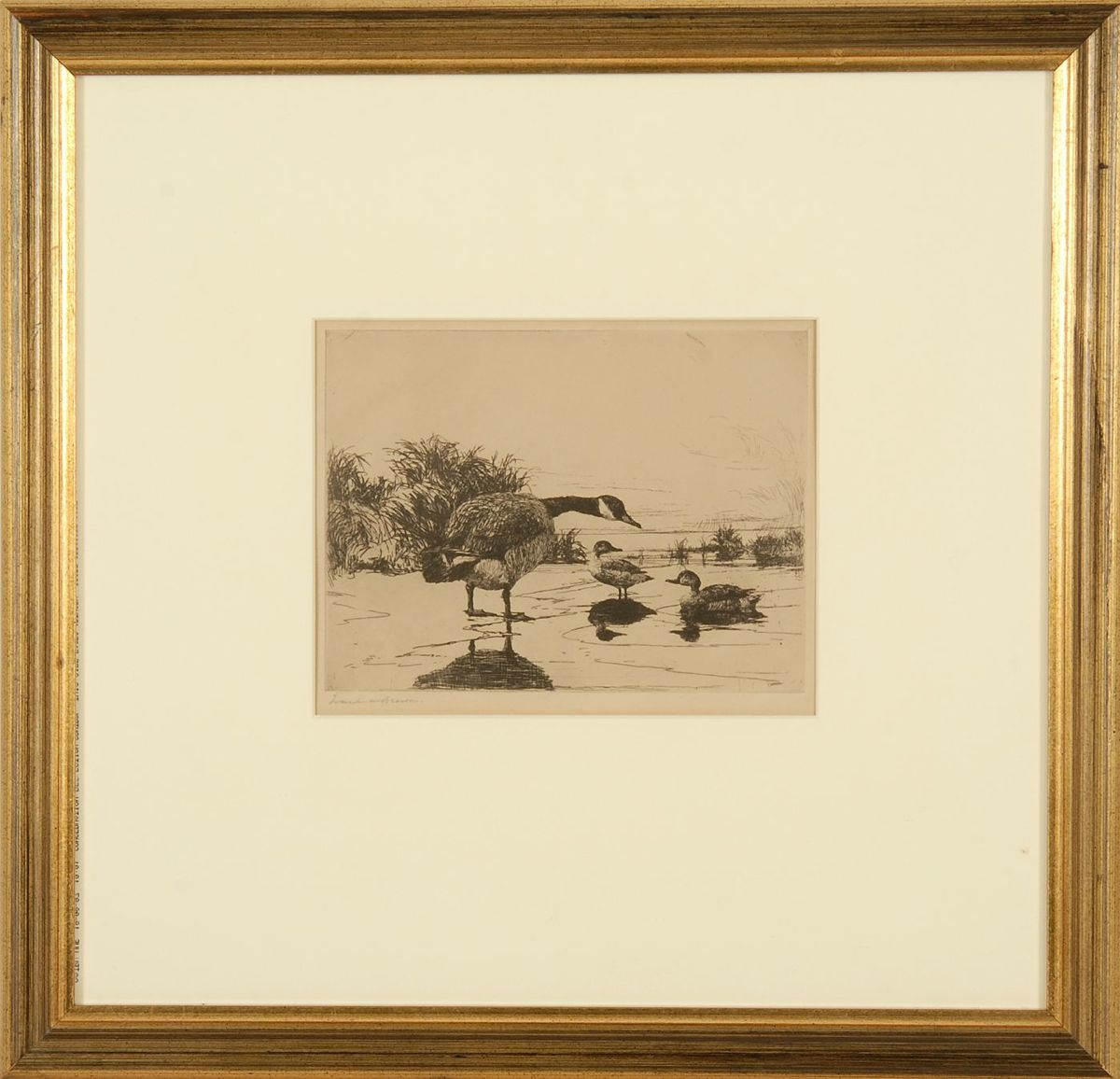 Appraisal: FRAMED FRANK BENSON ETCHING Circa A lone goose with two