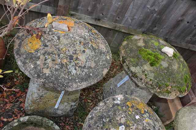 Appraisal: A PAIR OF LARGE COTSWOLD LIMESTONE STADDLESTONES with circular moss