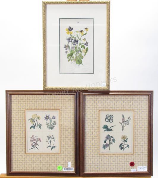 Appraisal: Three botanical prints including one pair of four-panel with Latin