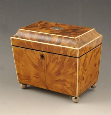 Appraisal: A Regency tortoiseshell tea caddy of sarcophagus form with ivory